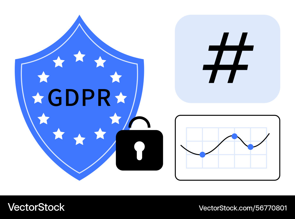 Gdpr shield with lock graph and metadata tag vector image