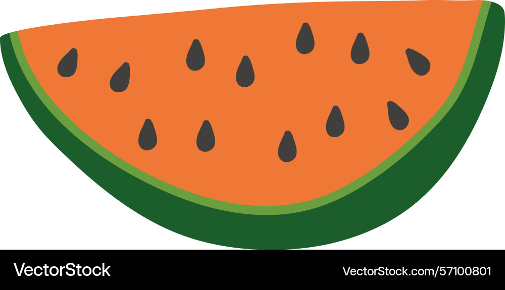 Watermelon slice with seeds Vector Image