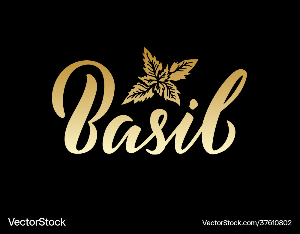 Basil isolated golden word with color gradient Basil isolated golden word with color gradient vector image