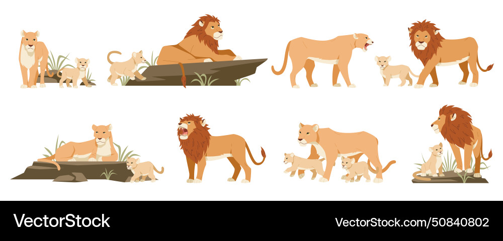 Cartoon lions cute lionesses and cubs wild Cartoon lions cute lionesses and cubs wild vector image