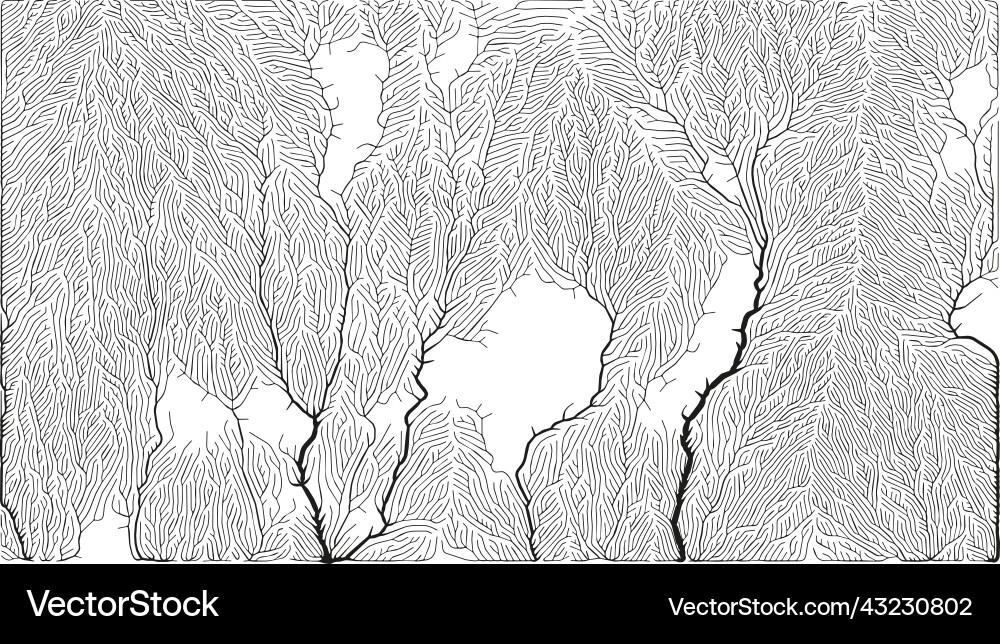 Growth pattern generative branching structure Vector Image