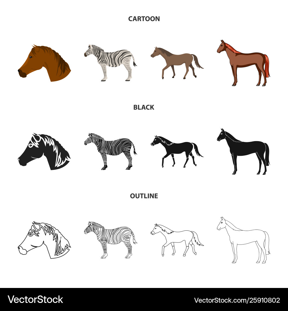 Isolated object trot and running logo vector image