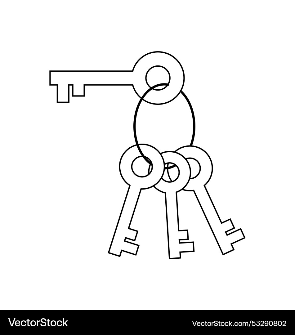 Keychain with multiple keys representing access Vector Image