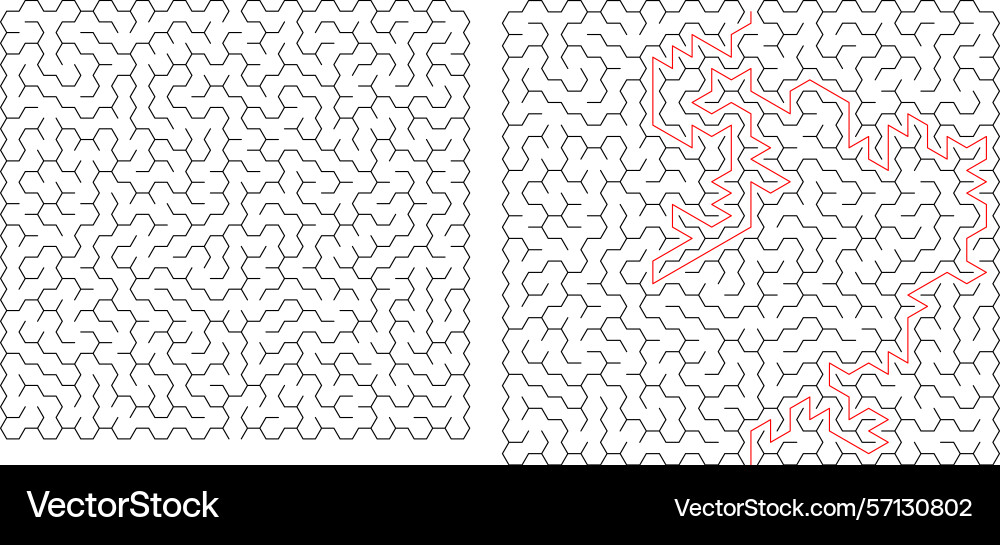 Mazes one solved with a red path vector image