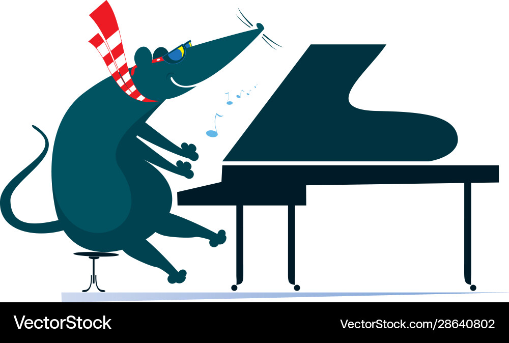 Pianist rat or mouse plays piano isolated Pianist rat or mouse plays piano isolated vector image