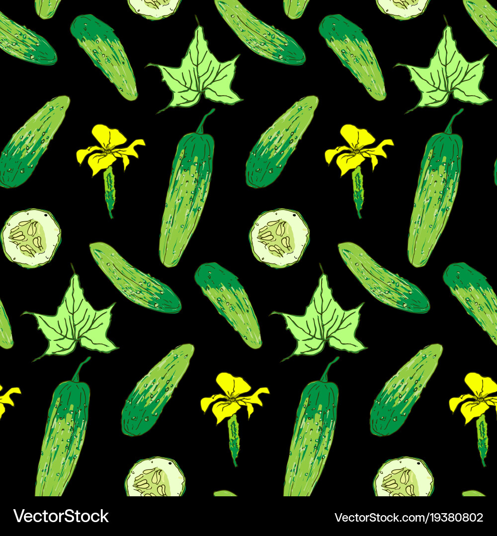 Seamless pattern of cucumber whole and chunks vector image