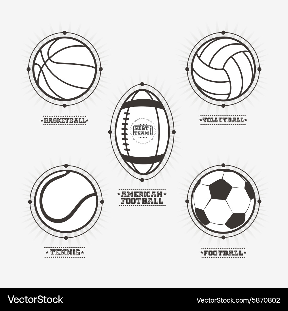 Sports Ball Icons & Logos vector image