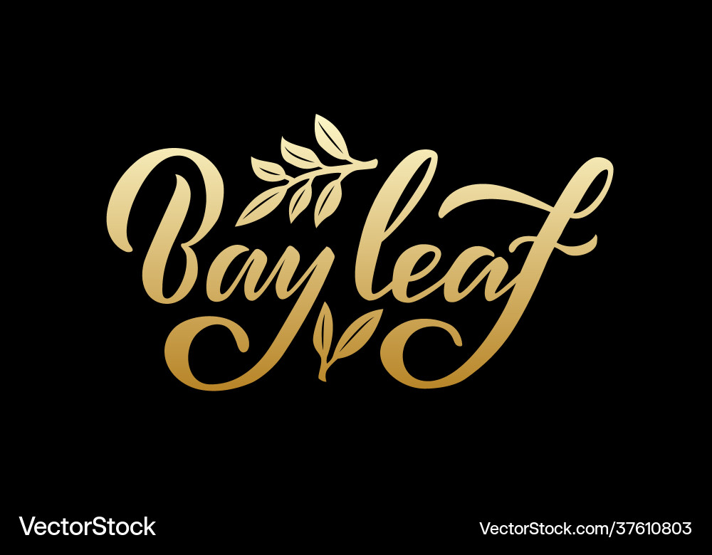 Bay leaf golden text with color gradient Bay leaf golden text with color gradient vector image