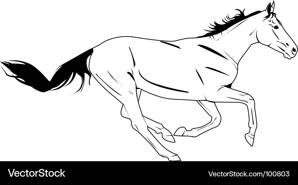 Horse Galloping in Motion vector image
