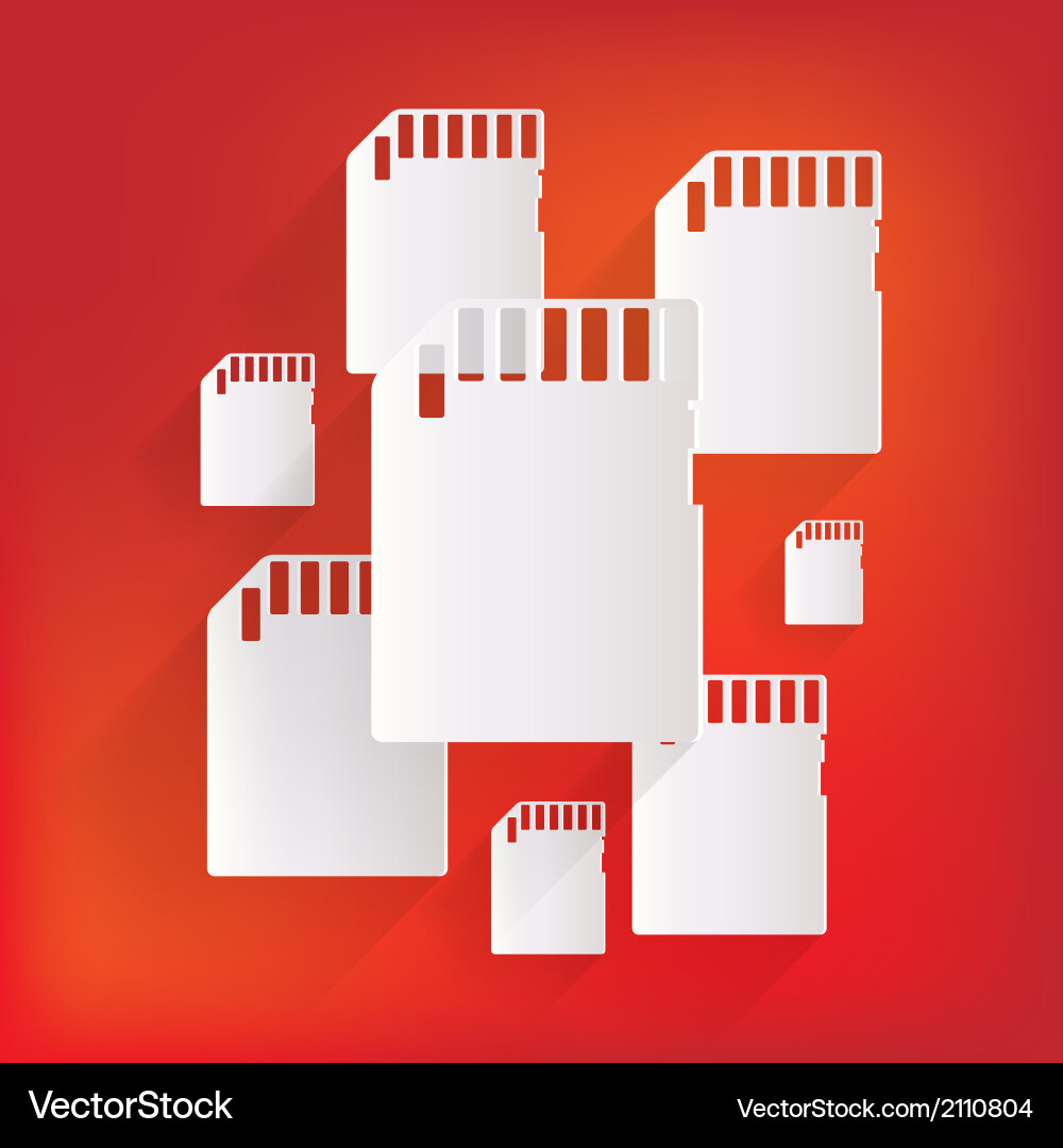 Compact memory card icon vector image