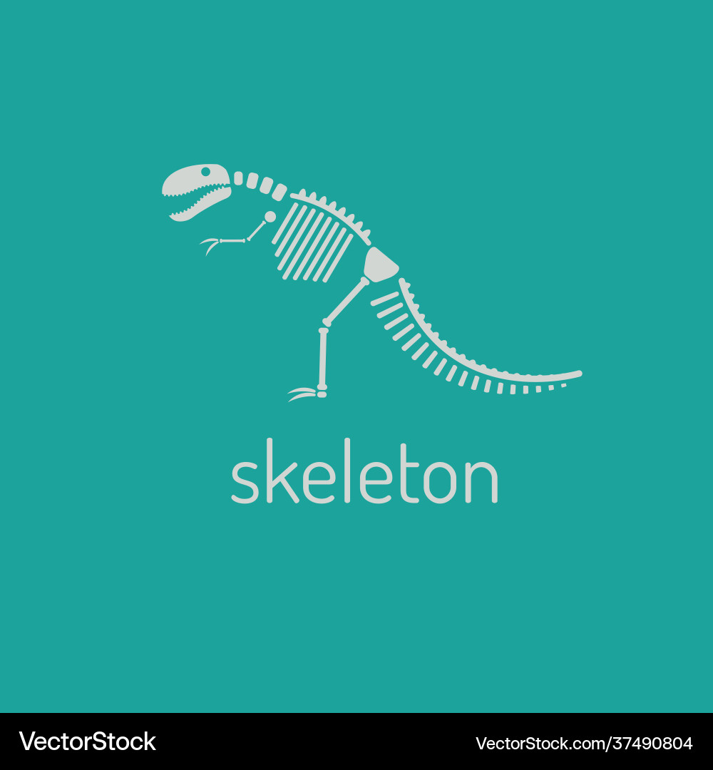 Dinosaur Skelett megalosaurus Bild isoliert Dinosaur Skelett megalosaurus Bild isoliert vektorbild