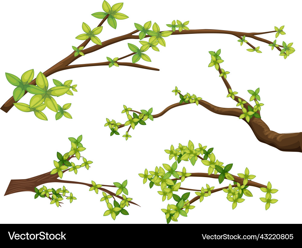 Set of different tree branches isolated Vector Image