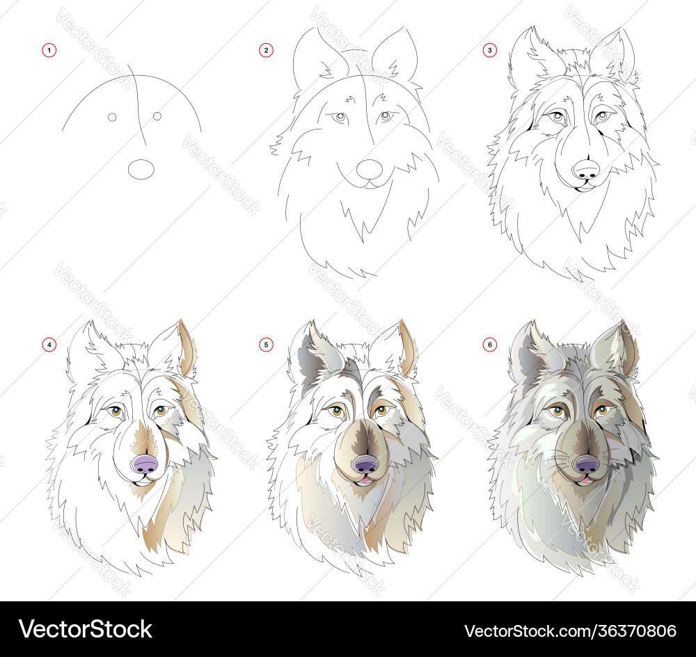 How to learn draw sketch fairy tale How to learn draw sketch fairy tale vector image