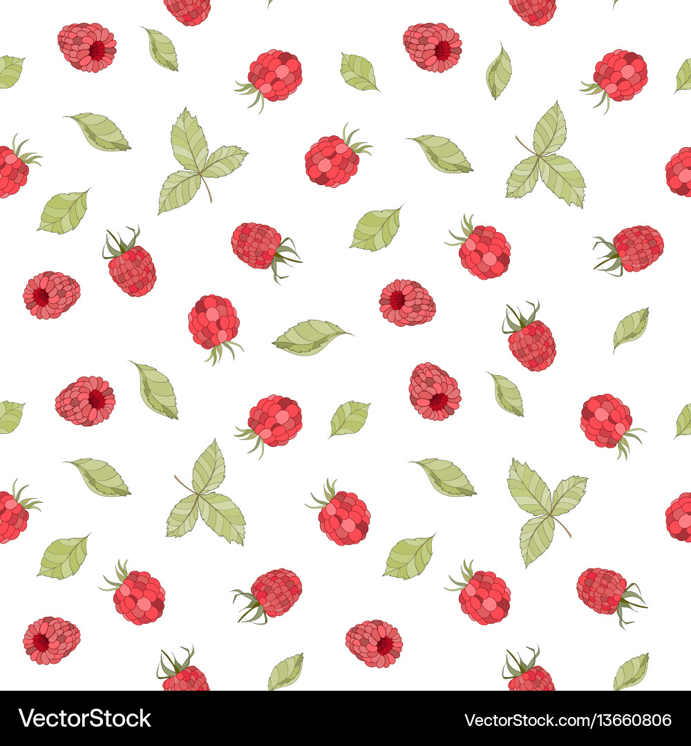 Raspberry Fruit Pattern vector image