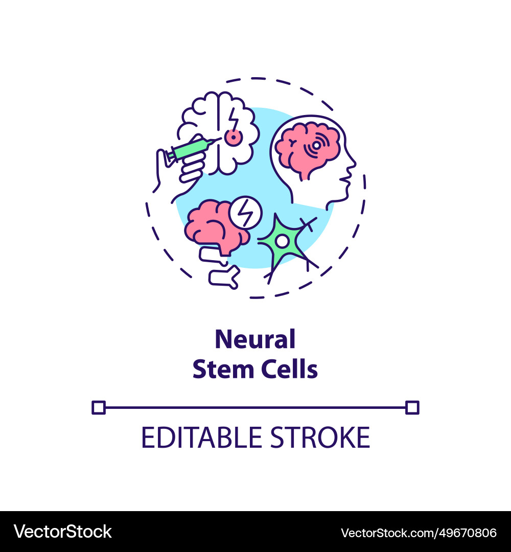 Thin line simple colorful neural stem cells icon Thin line simple colorful neural stem cells icon Vector Image
