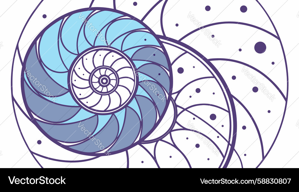 Abstract spiral shell with stellar elements Vector Image
