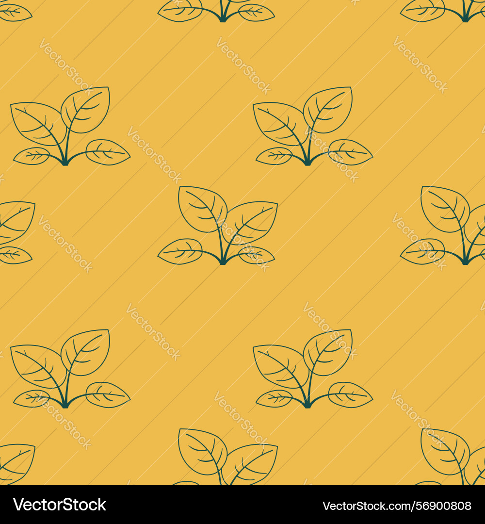 Elegant minimalist botanical pattern simple line vector image