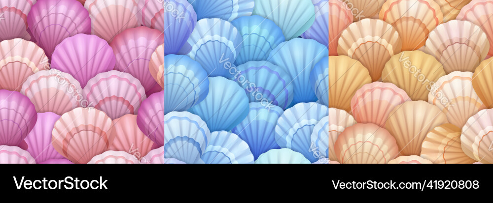 Seashell Seamless Patterns vector image