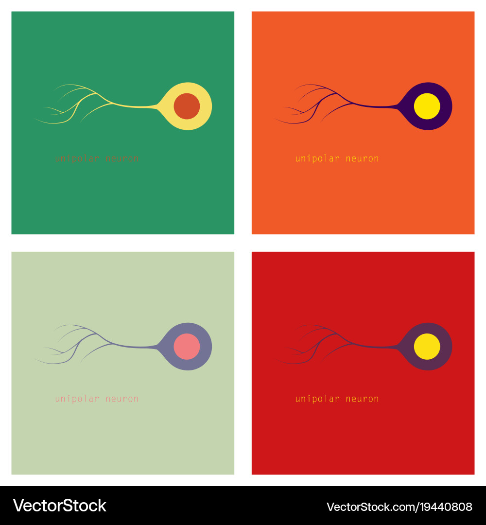 Set of basic neuron types vector image
