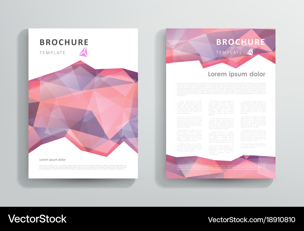Abstract triangular brochure design template Vector Image