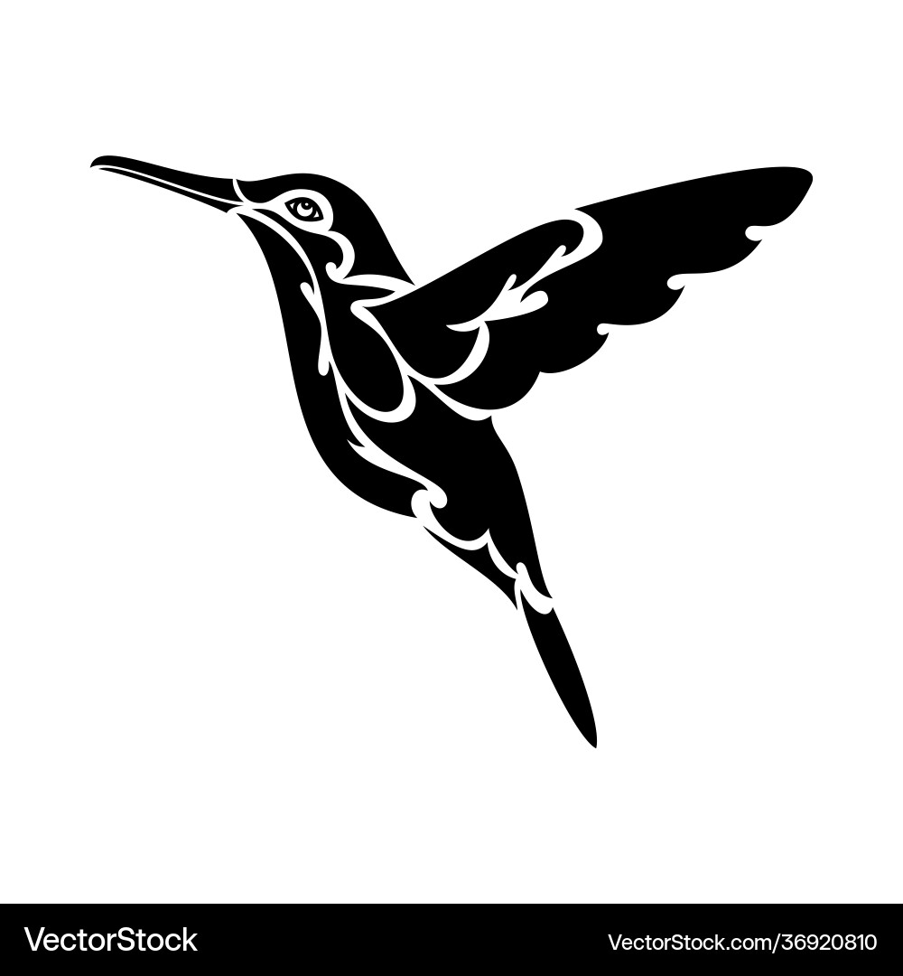 Handgezeichnetes Portrait ein Hummingbird für Tattoo Handgezeichnetes Portrait ein Hummingbird für Tattoo vektorbild