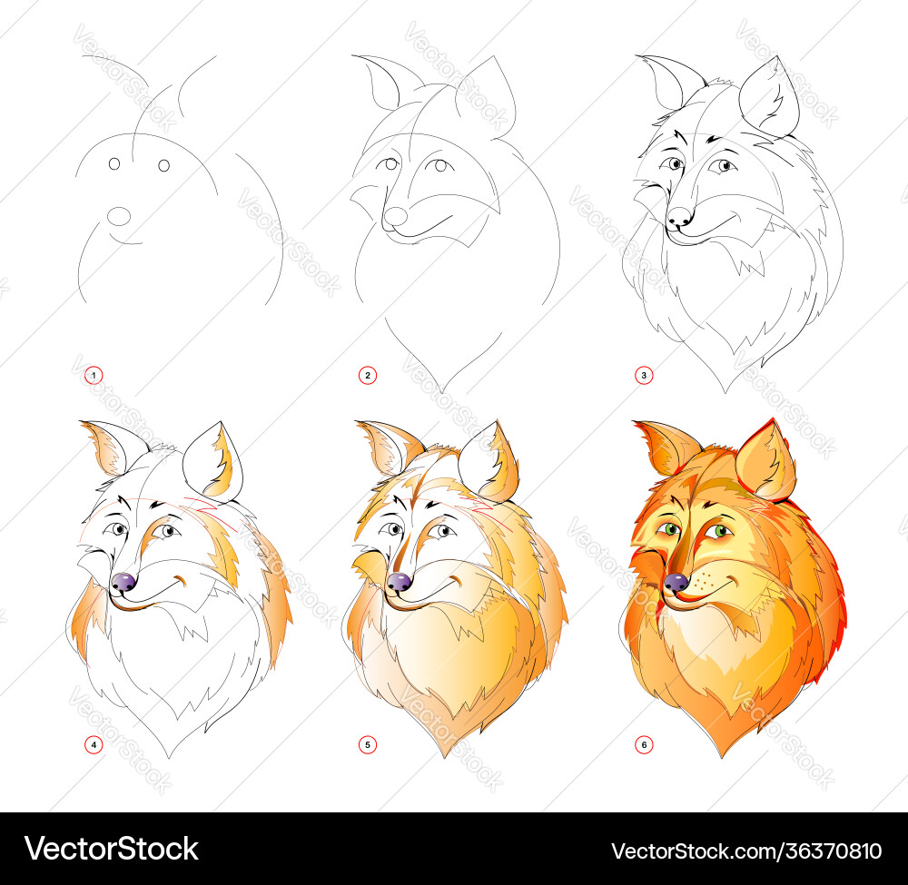 How to learn draw sketch cute sly foxes How to learn draw sketch cute sly foxes Vector Image