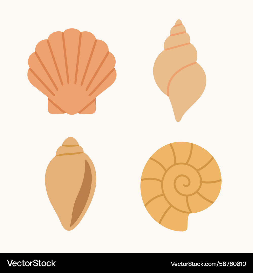 Sea Shell Collection - Simple Graphics Vector Image