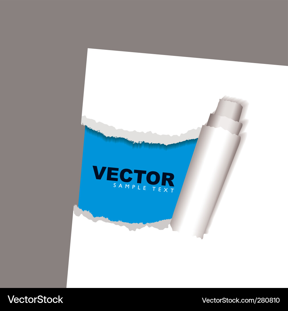 Torn Paper Reveal Vector Image