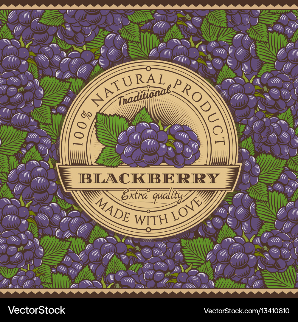 Vintage blackberry label on seamless pattern Vintage blackberry label on seamless pattern vector image