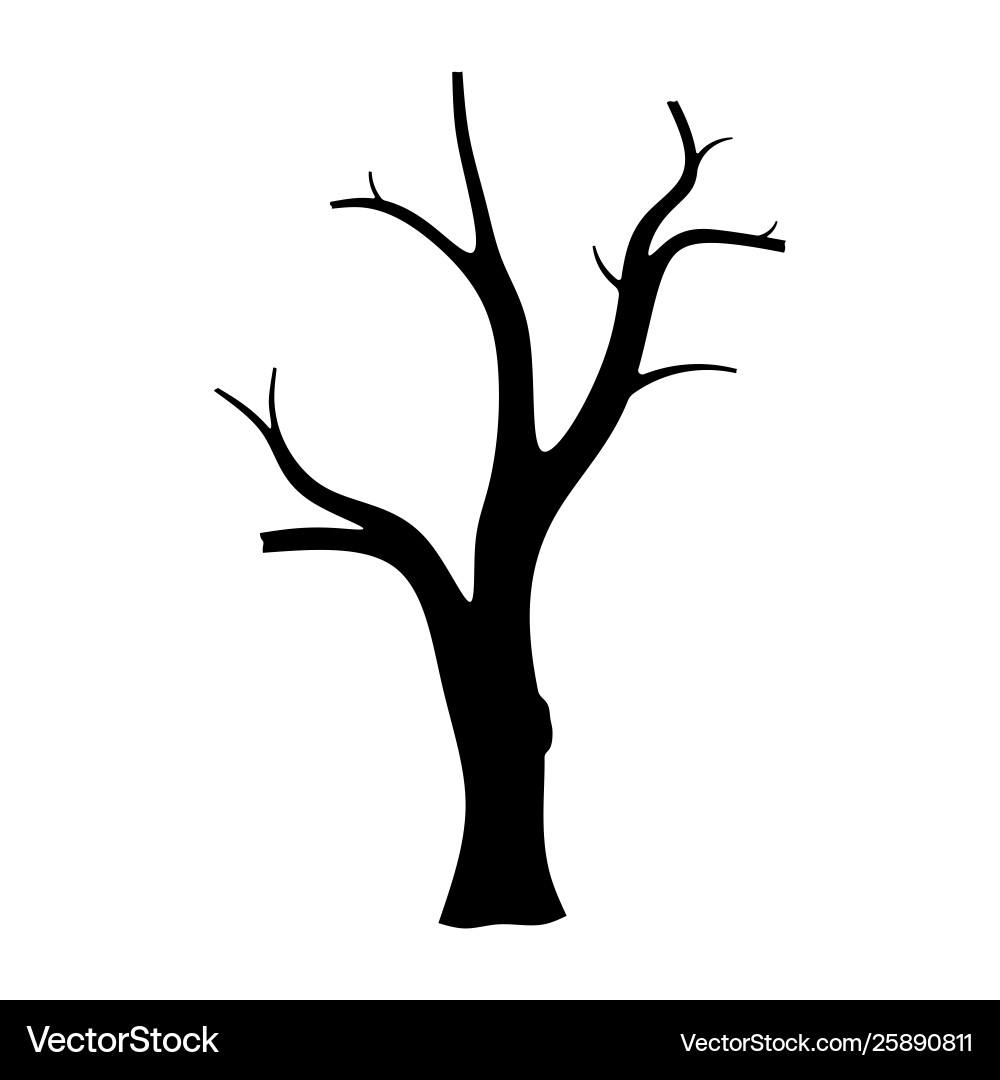 Dry tree silhouette Royalty Free Vector Image - VectorStock