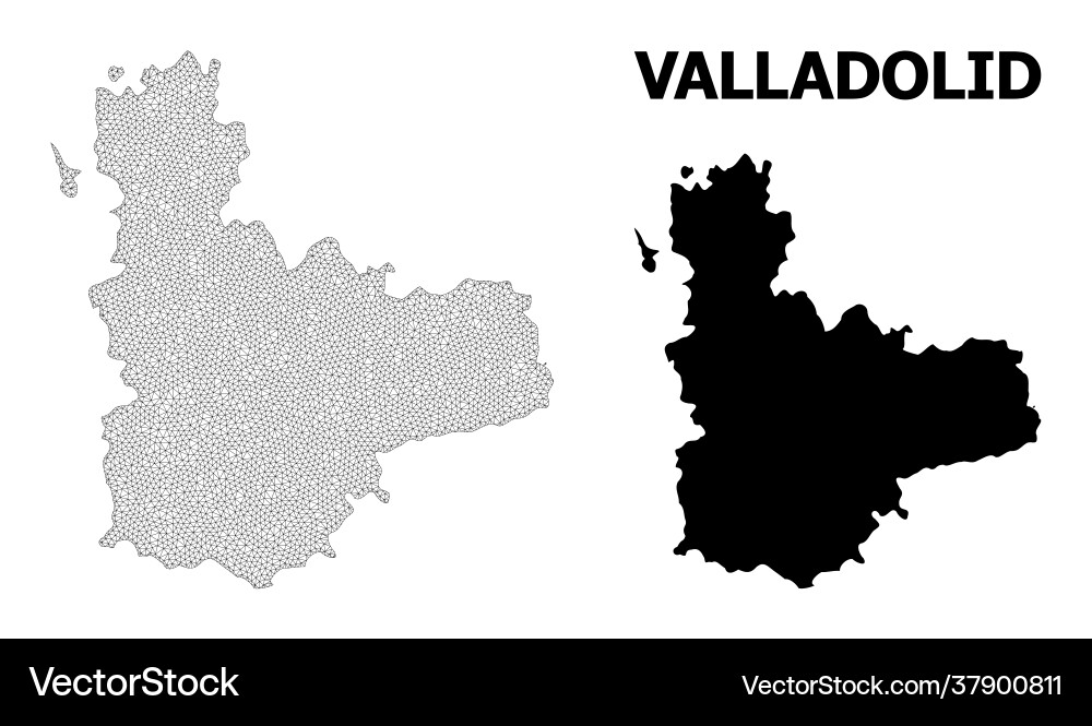 Polygonal 2d mesh high resolution map Polygonal 2d mesh high resolution map Vector Image