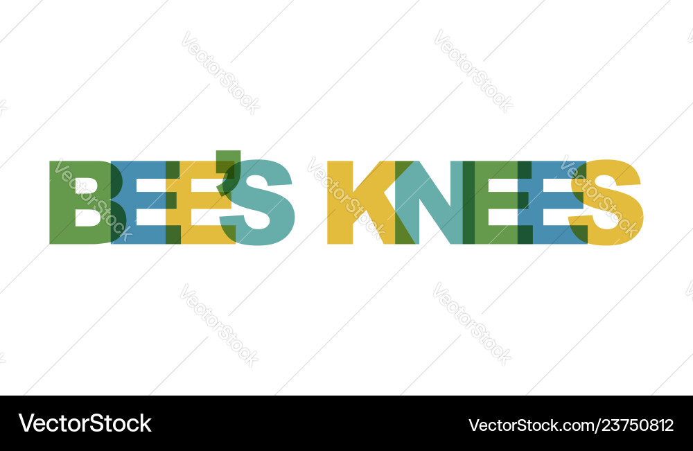 Bees knees phrase overlap color no transparency vector image