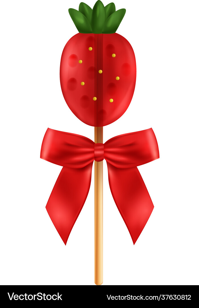 Berry lollipop candy composition Berry lollipop candy composition vector image