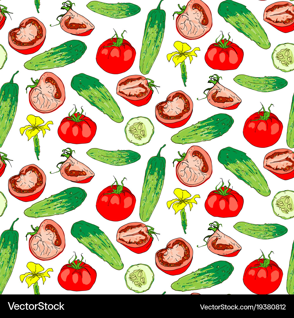 Seamless pattern of colored tomatoes and cucumbers vector image