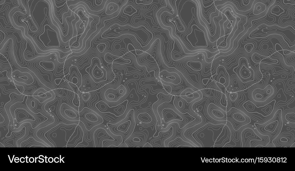 Seamless pattern topographic map background vector image