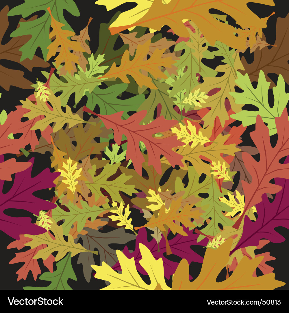 Autumn Leaf Collection Vector Image