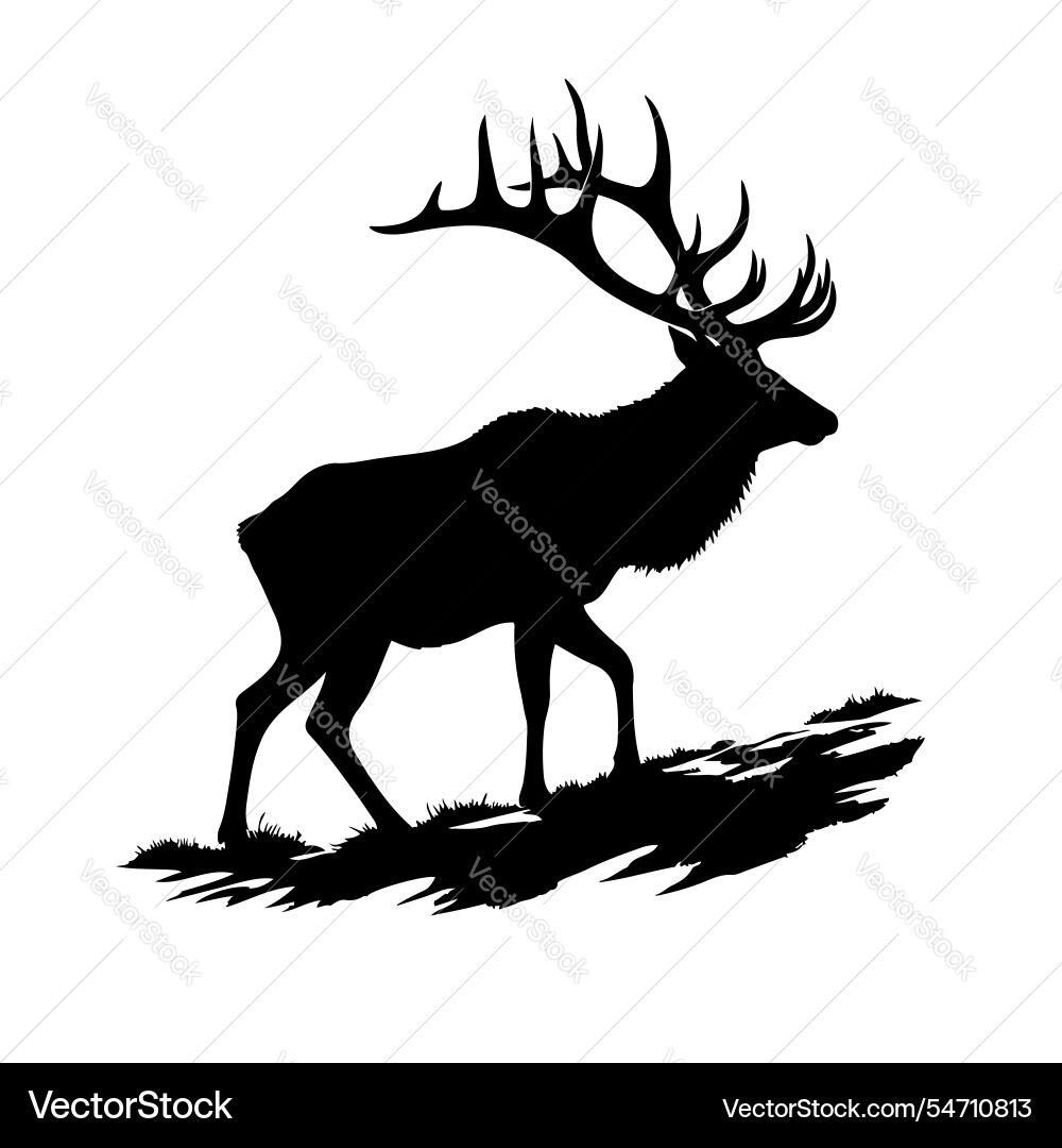 Elk silhouette mit weißem Hintergrund Elk silhouette mit weißem Hintergrund vektorbild