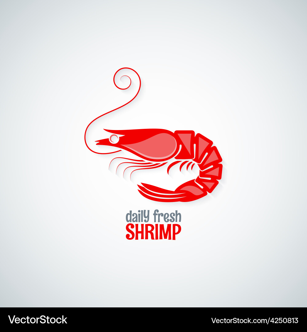 Shrimp seafood menu background Royalty Free Vector Image