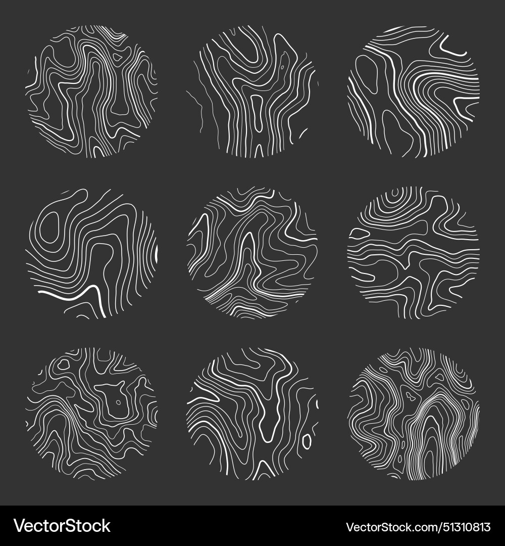 Topographic map with contour lines geographic Topographic map with contour lines geographic vector image