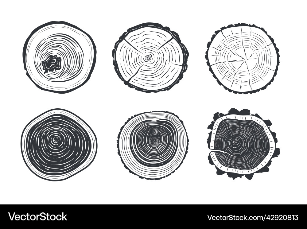 Tree trunks cross sections vector image