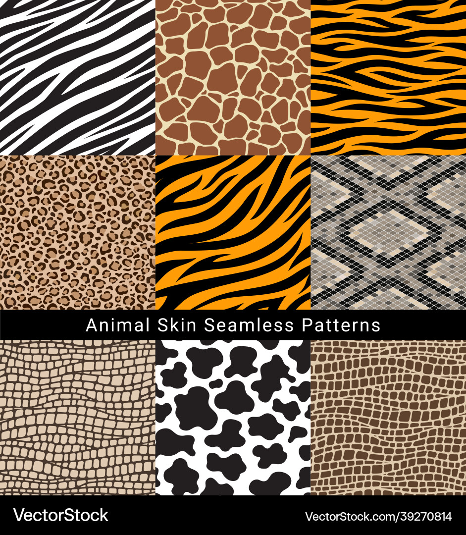 Animal Skin Patterns Vector Image