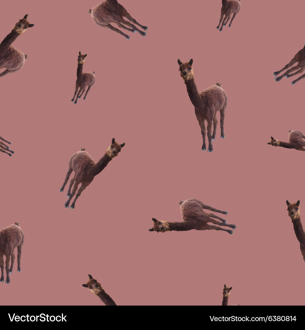 Patternseamless with the image of a llama Vector Image