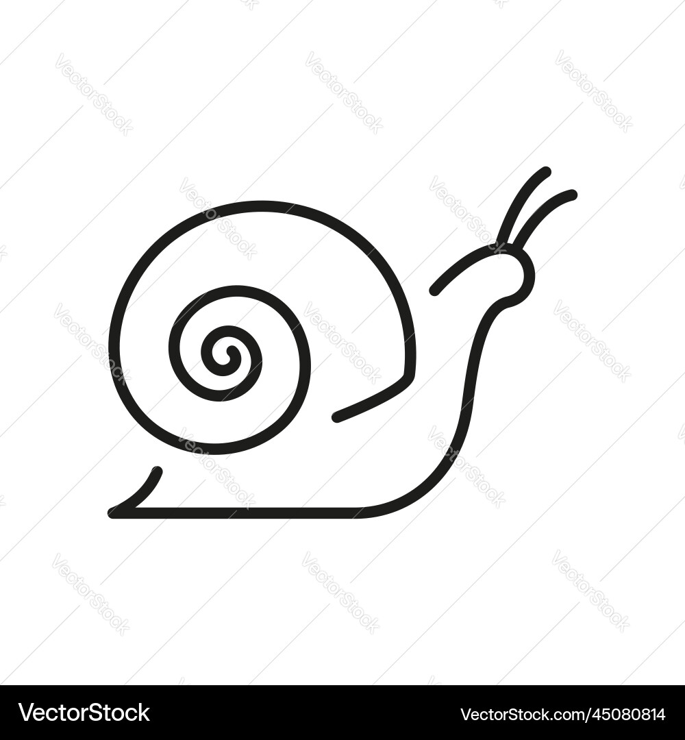 Snail line icon slug in shell crawl linear Snail line icon slug in shell crawl linear vector image