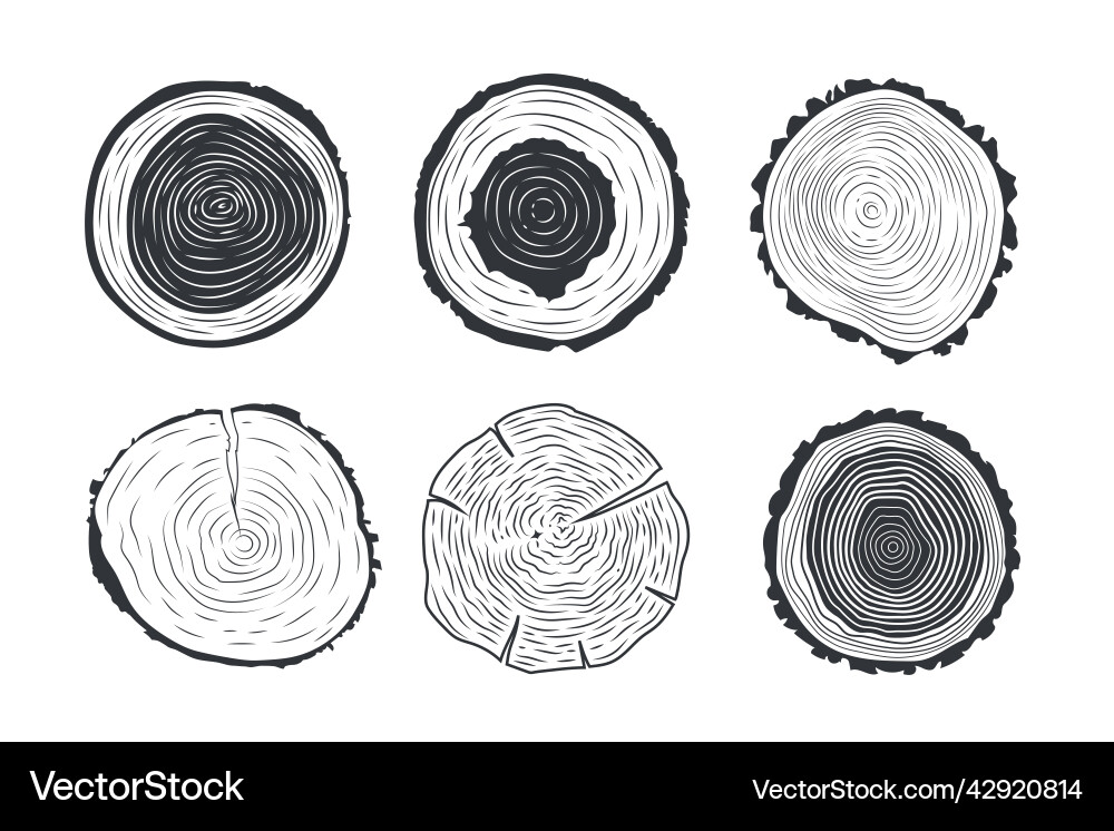 Tree trunks cross sections Tree trunks cross sections vector image