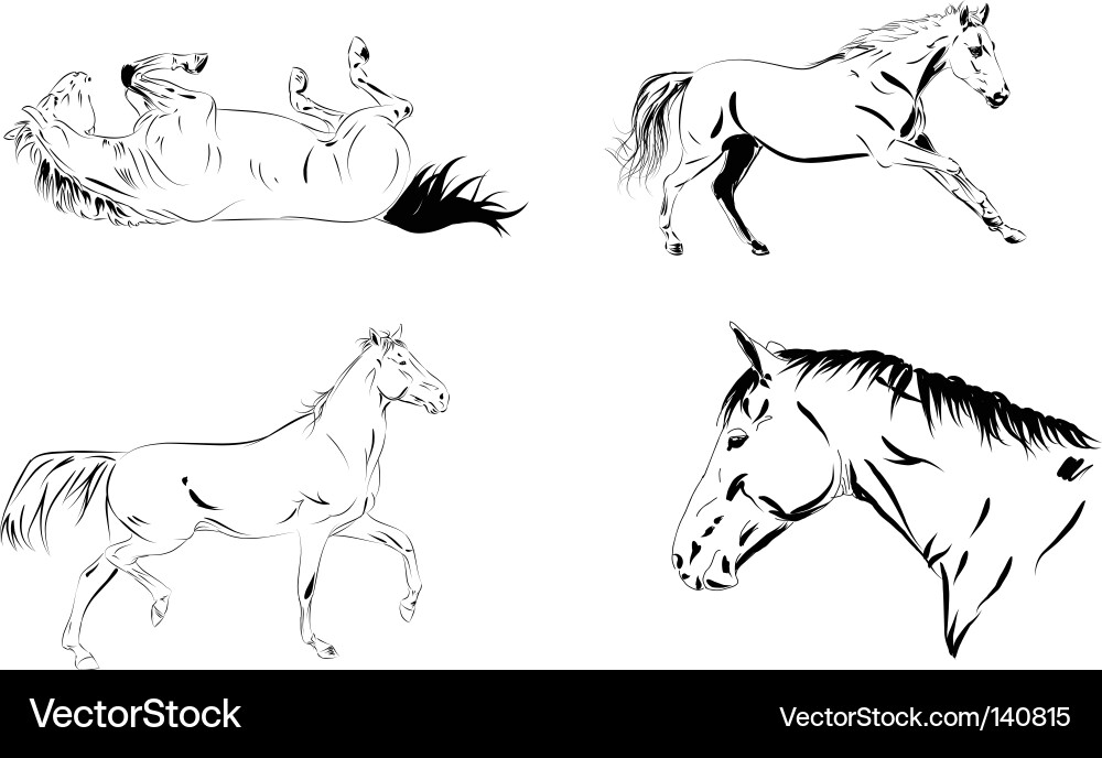 Horse Silhouette Jumping vector image