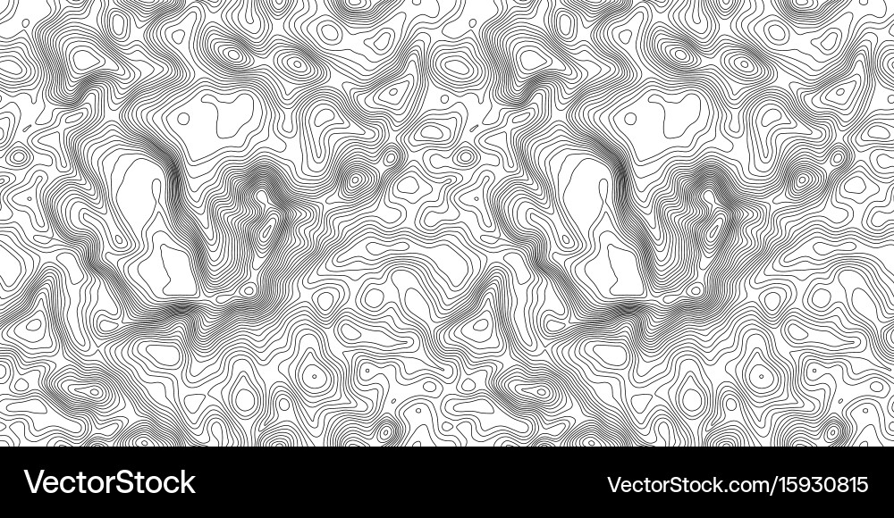 Seamless pattern topographic map background vector image
