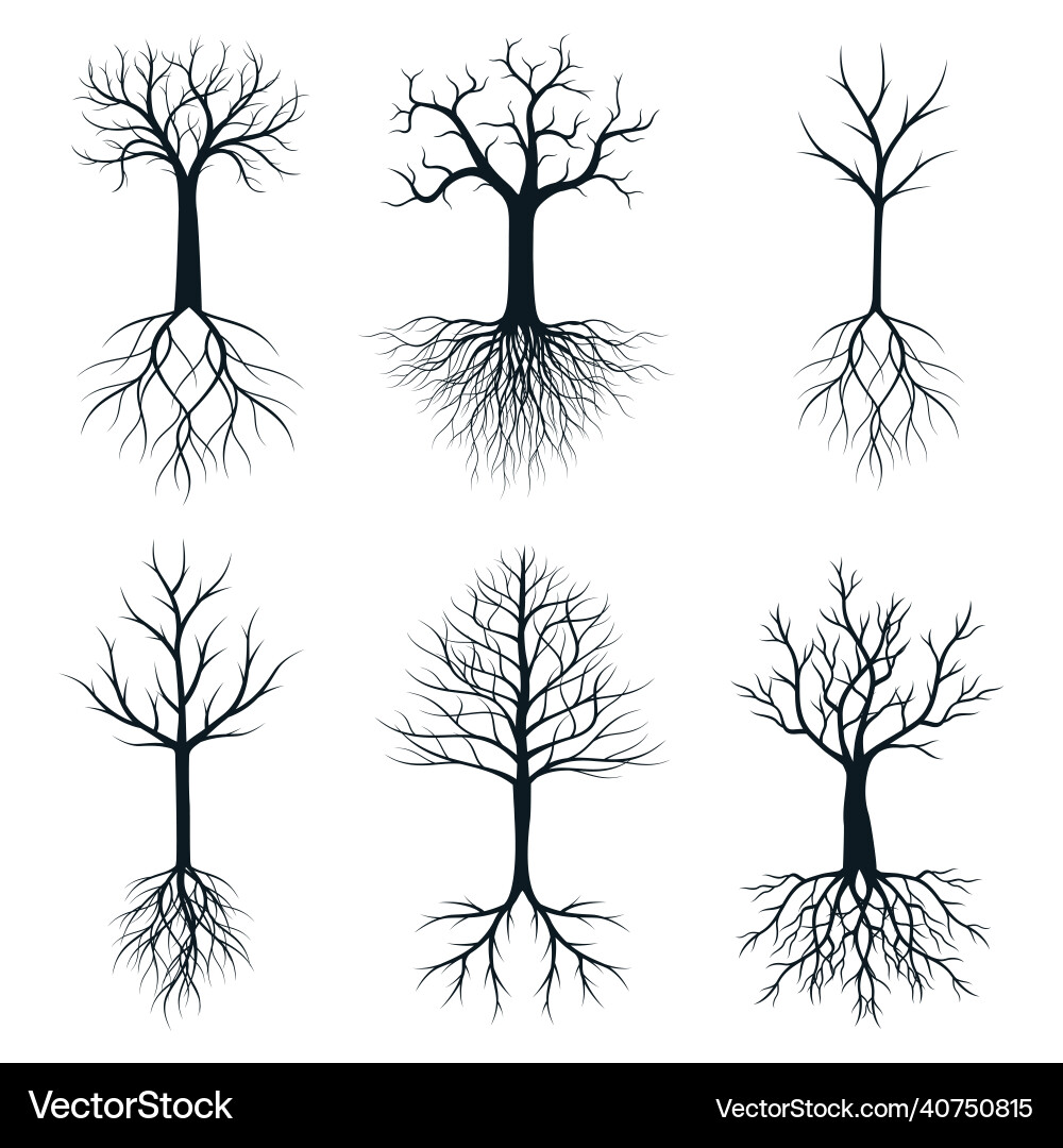 Tree Roots Silhouette Set Royalty Free Vector Image