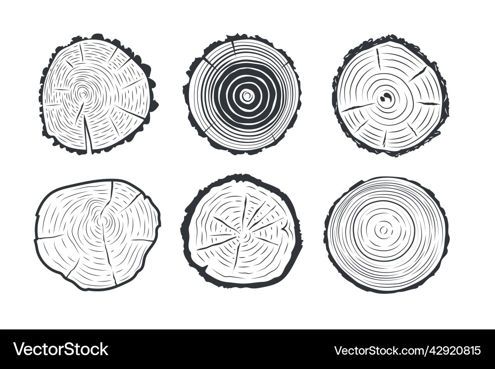 Tree trunks cross sections vector image