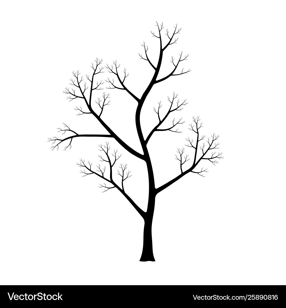 Dry tree silhouette Royalty Free Vector Image - VectorStock