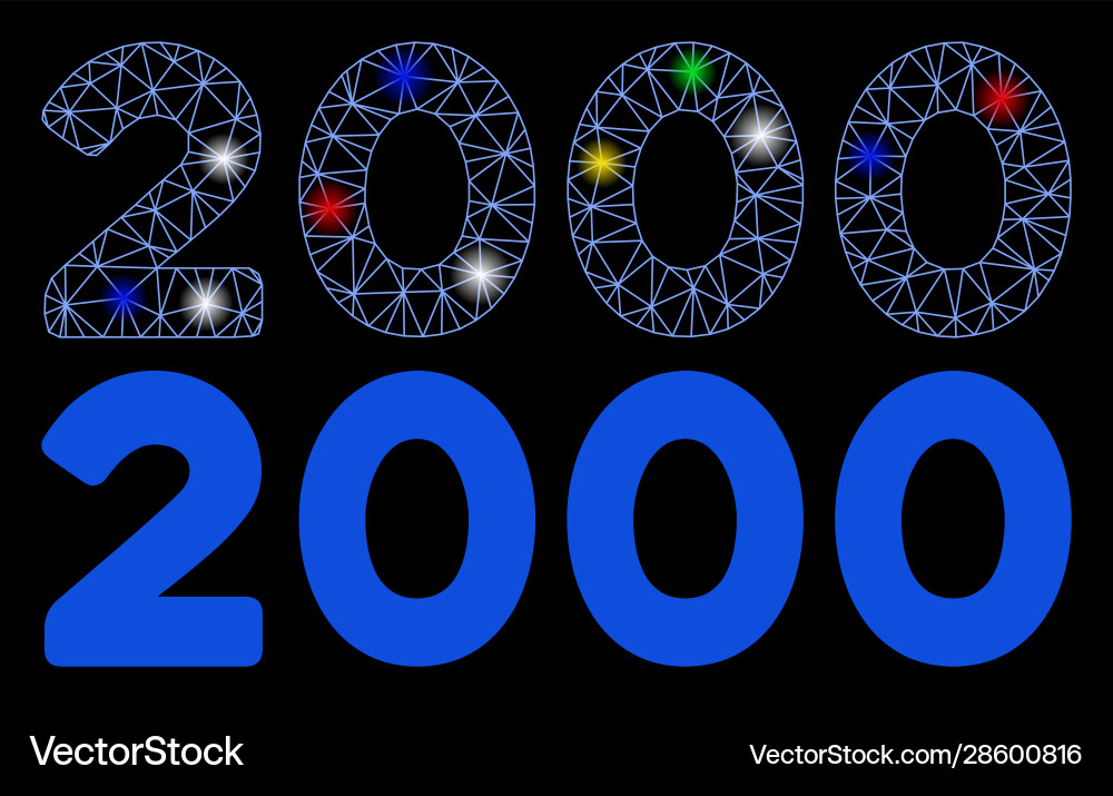 Flare mesh network 2000 digits text icon Vector Image